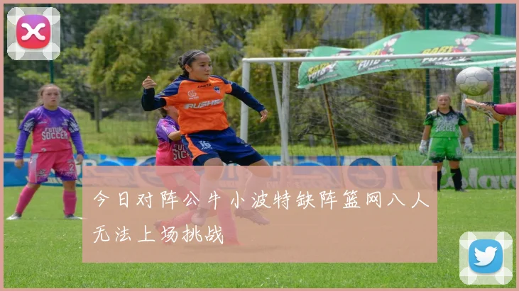 今日对阵公牛小波特缺阵篮网八人无法上场挑战